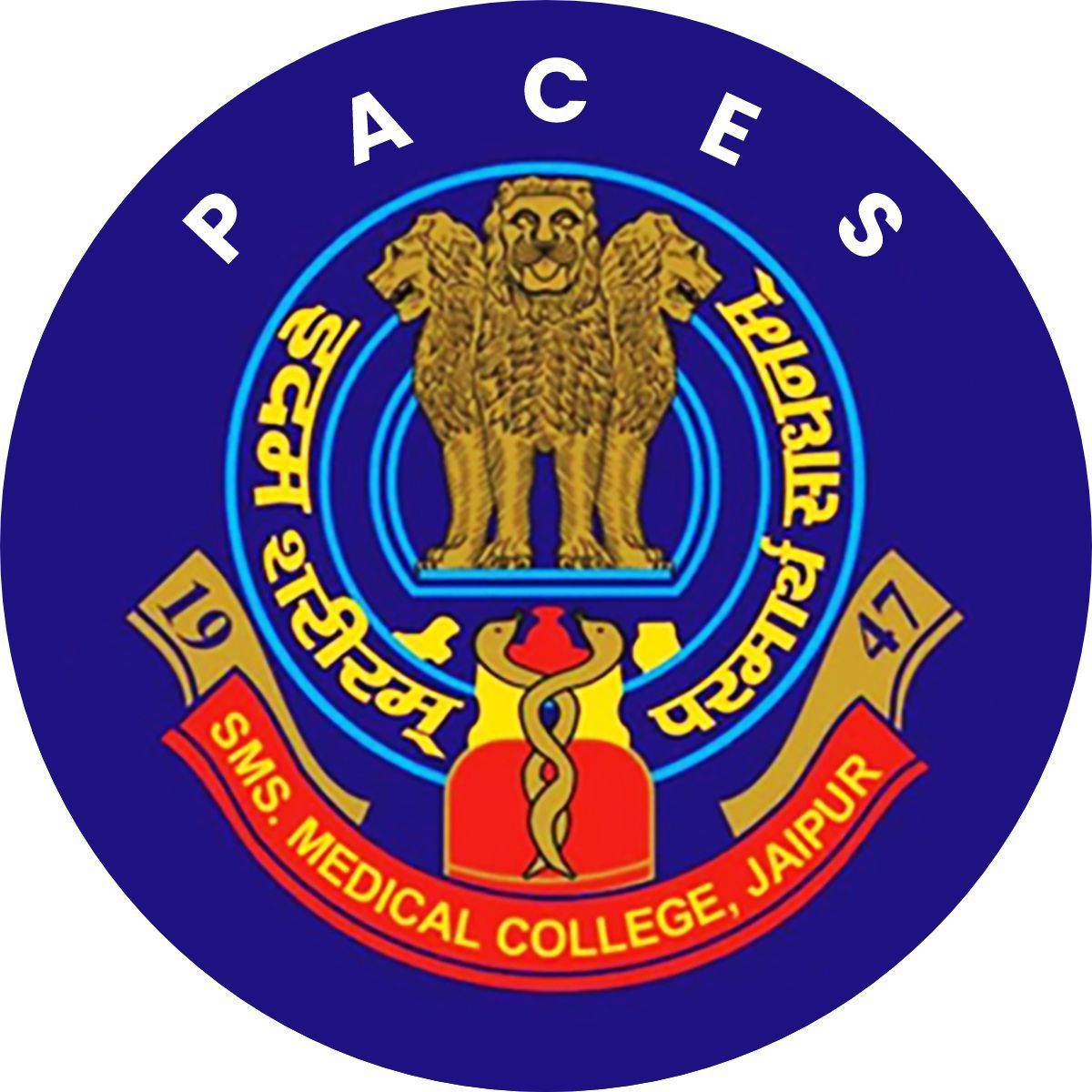 SMS Hospital Jaipur logo
